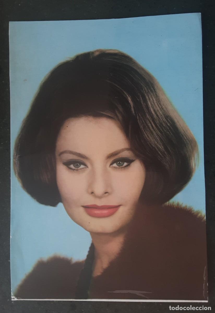 Cine: TARJETA POSTAL DE SOFIA LOREN, INT&Eacute;RPRETE DEL FILM UN ABISMO ENTRE LOS DOS.