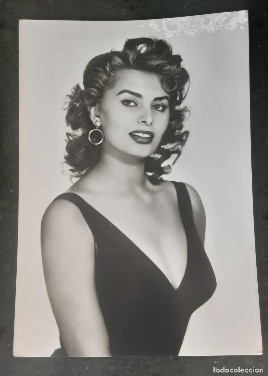 Cine: TARJETA POSTAL UFA DE SOFIA LOREN, FOTO DE SAM L&Eacute;VIN.
