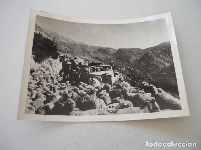 Kino: LOS ASESINOS DEL DOMINGO ESCENA DE LA PELICULA ANTIGUA FOTOGRAFIA ORIGINAL 16 X 12 CM