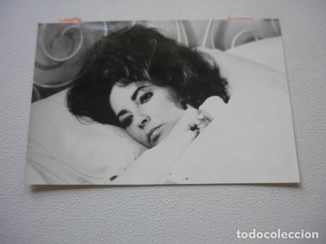 Cinema: ELIZABETH TAYLOR ACTRIZ ANTIGUA FOTOGRAFIA ORIGINAL 19,5 X 13 CM