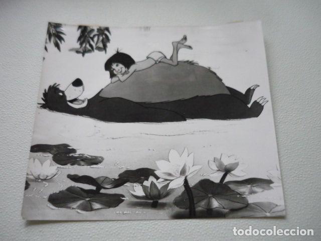 Cine: EL LIBRO DE LA SELVA ESCENA DE LA PELICULA ANTIGUA FOTOGRAFIA ORIGINAL 18 X 16 CM