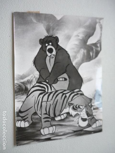 Cine: EL LIBRO DE LA SELVA ESCENA DE LA PELICULA ANTIGUA FOTOGRAFIA ORIGINAL 18 X 16 CM
