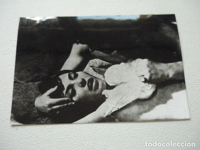Kino: CUERNOS DE CABRA ESCENA DE LA PELICULA ANTIGUA FOTOGRAFIA ORIGINAL 12,5 X 17,5 CM