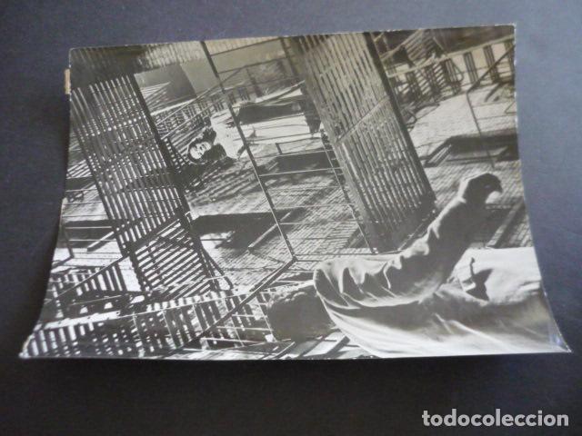 Cinema: WEST SIDE STORY ESCENA DE LA PELICULA ANTIGUA FOTOGRAFIA ORIGINAL 24 X 18 CM