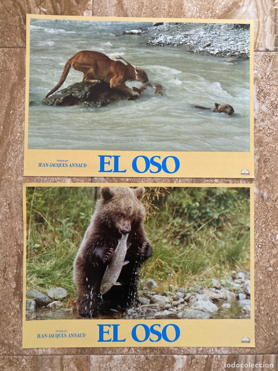 Cine: EL OSO / JUEGO ORIGINAL 2 FOTOCROMOS ESTRENO