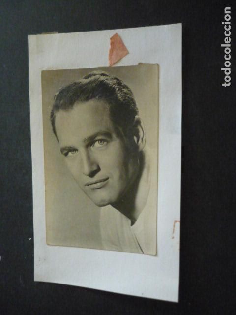 Cinema: PAUL NEWMAN ACTOR ANTIGUA FOTOGRAFIA ORIGINAL 14 X 9 CM
