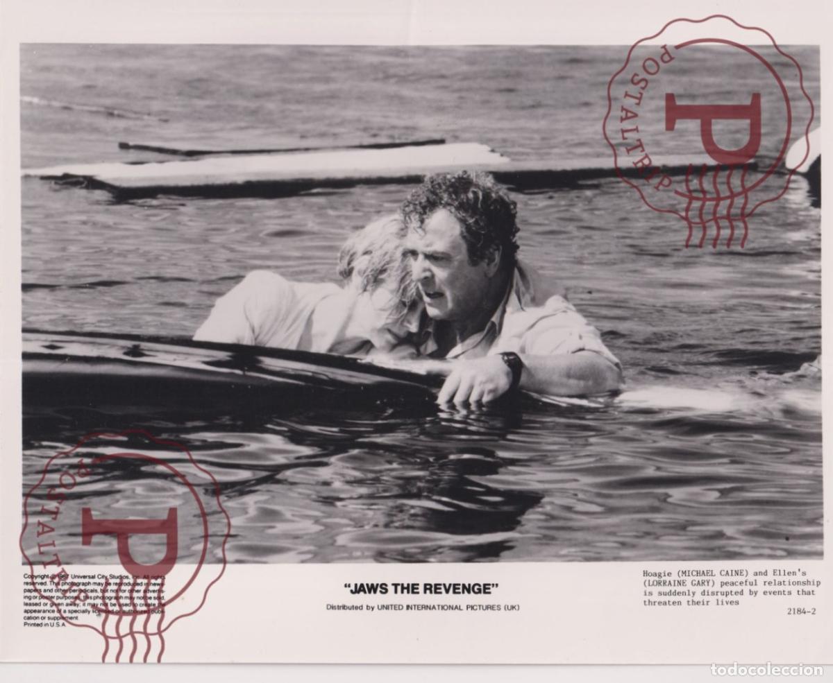 Cin&eacute;ma: JAWS THE REVENGE. TIBURON. CINE CINEMA. ACTOR ACTRESS. ACTRIZ. PHOTO FOTO +-24X19CM