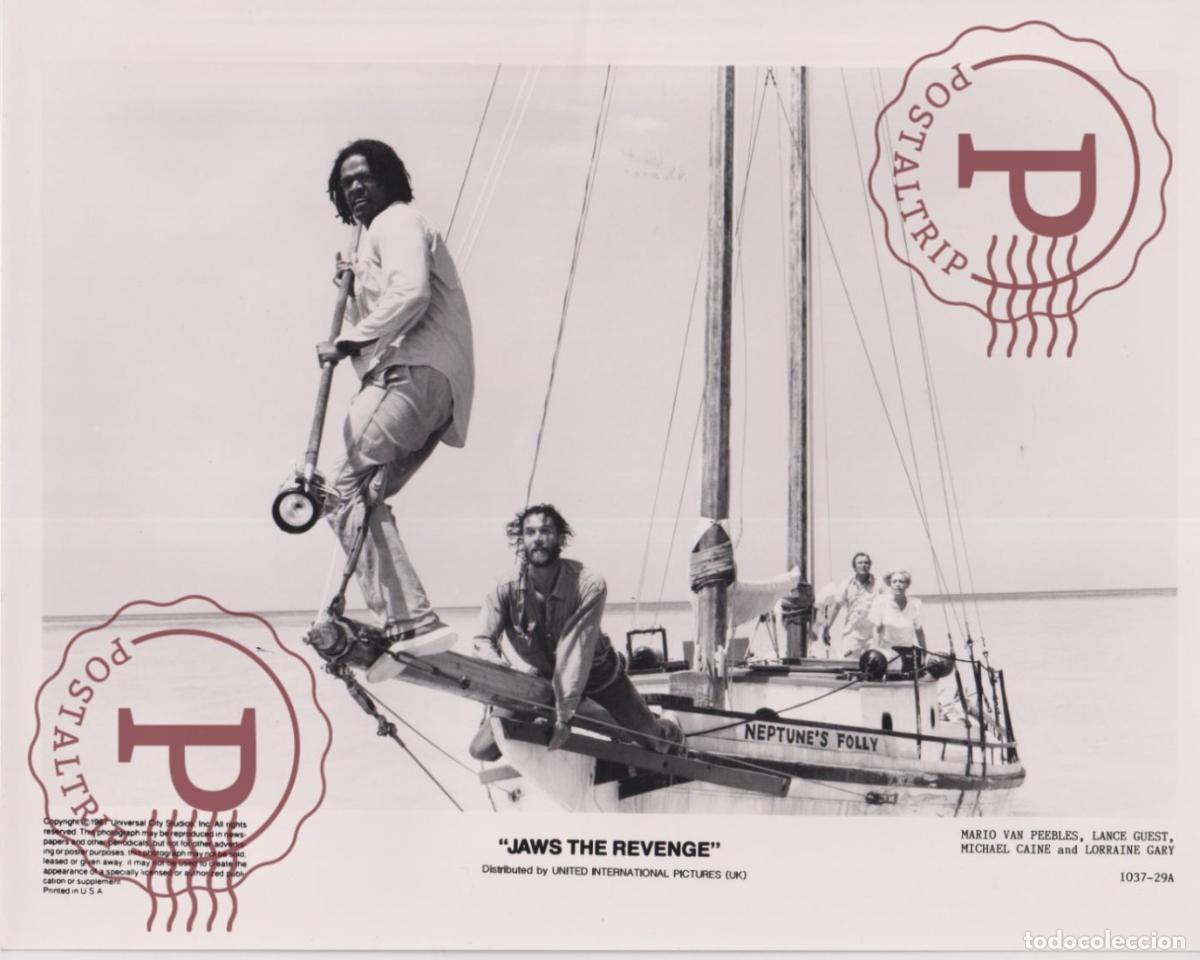 Cin&eacute;ma: JAWS THE REVENGE. TIBURON. CINE CINEMA. ACTOR ACTRESS. ACTRIZ. PHOTO FOTO +-24X19CM
