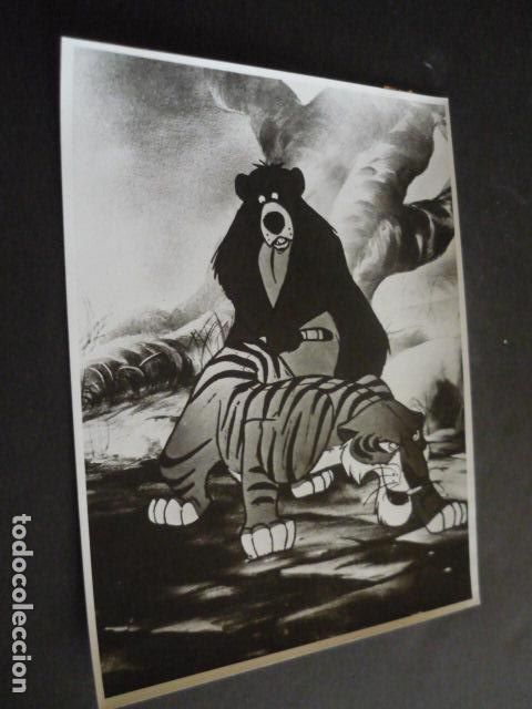 Kino: EL DIA DE LA SELVA ESCENA DE LA PELICULA ANTIGUA FOTOGRAFIA ORIGINAL 18 X 24 CM