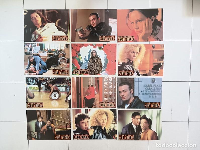 Cinema: SJC 0042 CARNE TREMULA PEDRO ALMODOVAR JAVIER BARDEM SET COMPLETO 12 FOTOCROMOS ORIGINAL ESTRENO