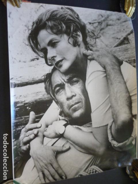 Cinema: SECRETOS DE UNA ESPOSA INGRID BERGMAN ESCENA DE LA PELICULA ANTIGUA FOTOGRAFIA ORIGINAL 30 X 23 CM