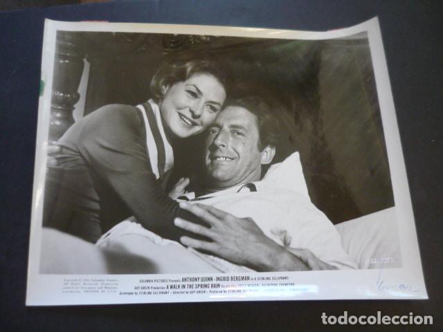 Kino: SECRETOS DE UNA ESPOSA INGRID BERGMAN ESCENA DE LA PELICULA ANTIGUA FOTOGRAFIA ORIGINAL 25 X 20,5 CM
