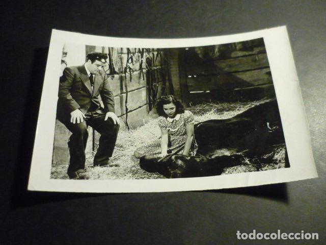Cinema: MI CABALLO MURI&Oacute; ESCENA DE LA PELICULA ANTIGUA FOTOGRAFIA ORIGINAL 18 X 12 CM