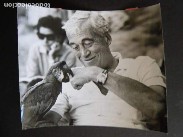 Cin&eacute;ma: JOHN HUSTON ACTOR ANTIGUA FOTOGRAFIA ORIGINAL 18 X 24 CM