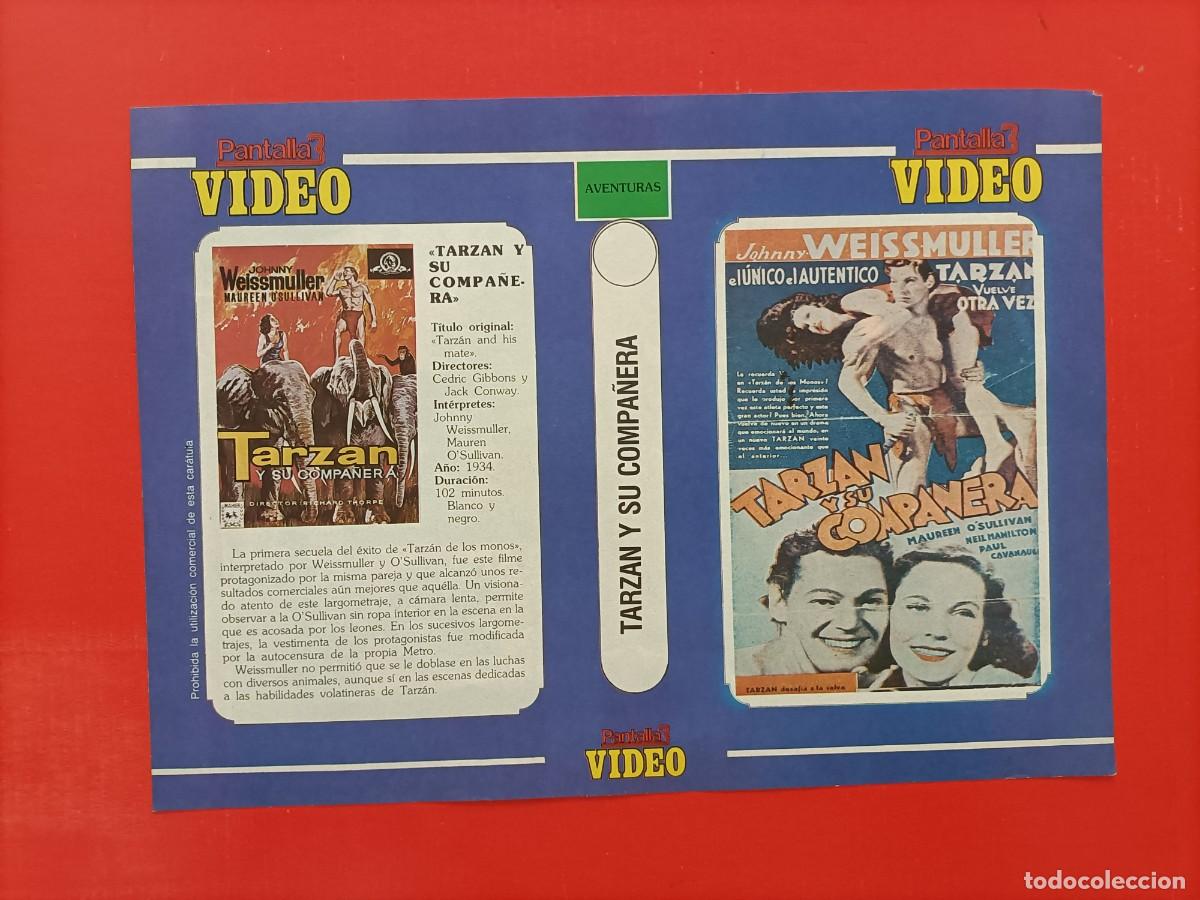 Cine: CARATULA TARZAN Y SU COMPA&Ntilde;ERA, 1934 JOHNNY WEISSMULLER, DE PANTALLA 3 VIDEO.