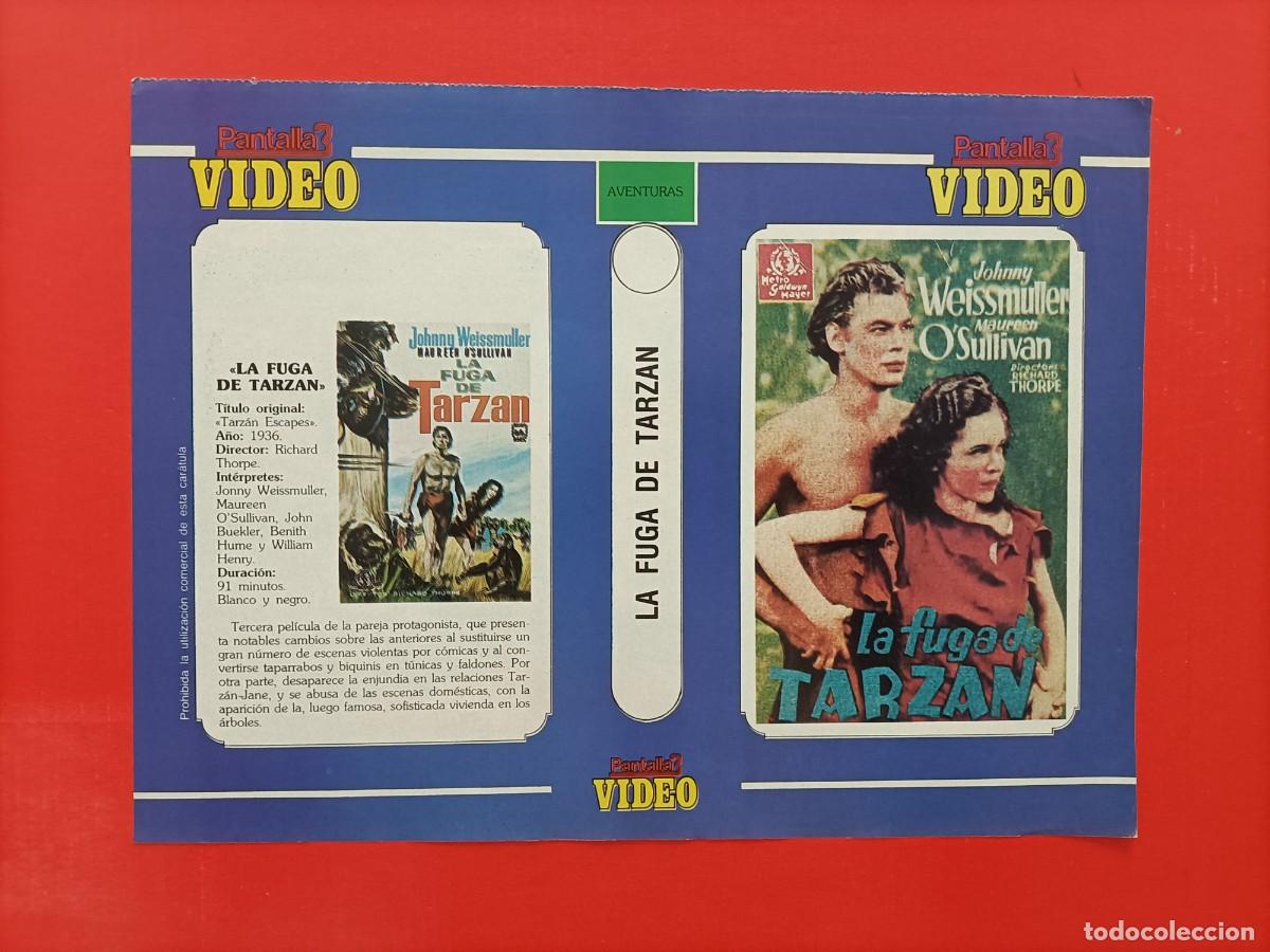 Cine: CARATULA TARZAN LA FUGA DE TARZAN, 1936 JOHNNY WEISSMULLER, DE PANTALLA 3 VIDEO.