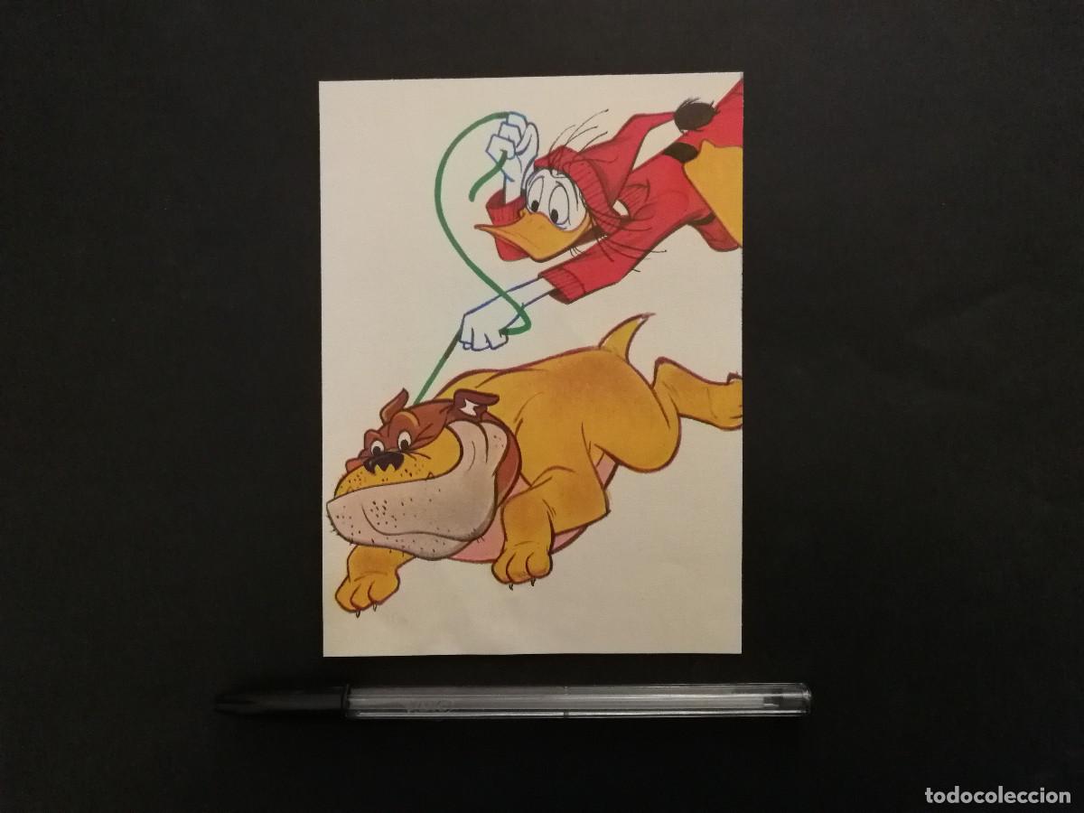 Cine: TARJETA ACARTONADA -10*15- PATO DONALD - WALT DISNEY