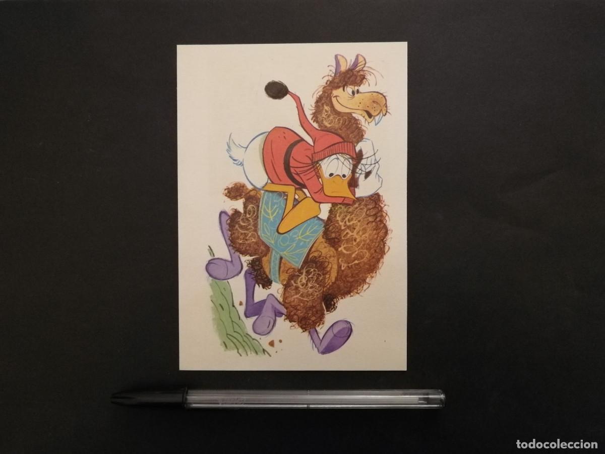 Cine: TARJETA ACARTONADA -10*15- PATO DONALD - WALT DISNEY
