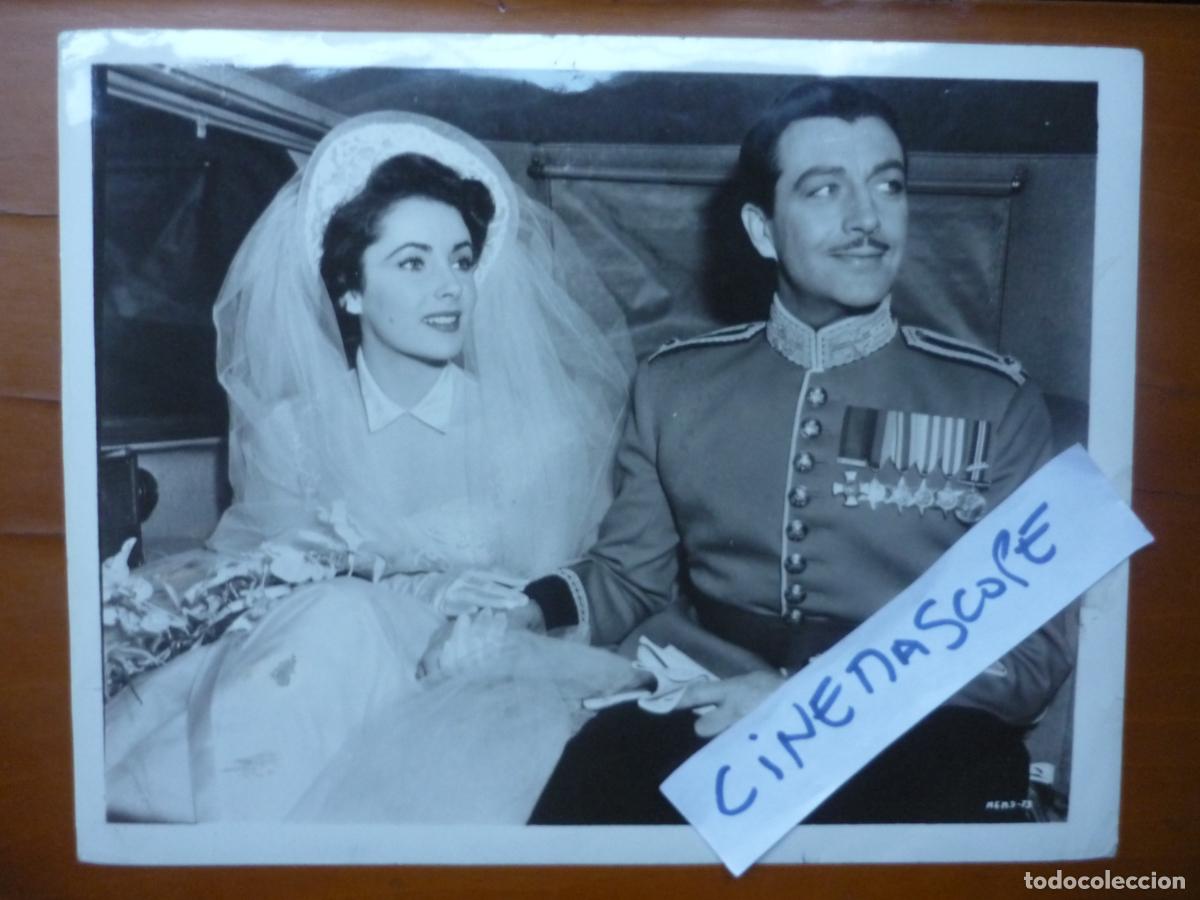 Cine: elizabeth liz taylor - foto original b/n - cinema actress - robert taylor - traicion