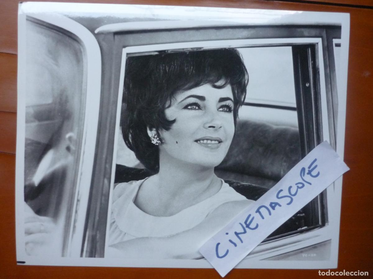 Cine: elizabeth liz taylor - foto original b/n - cinema actress - the comedians