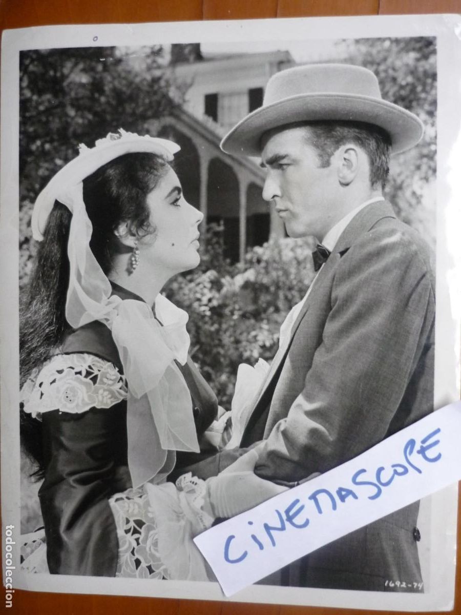 Cine: elizabeth liz taylor - foto original b/n - cinema actress - montgomery clift - el arbol de la vida