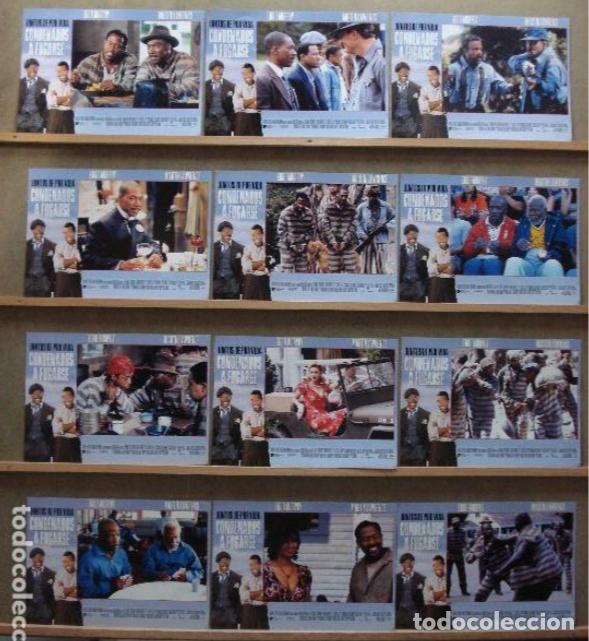 Kino: AFS76 CONDENADOS A FUGARSE EDDIE MURPHY MARTIN LAWRENCE SET COMPLETO 12 FOTOCROMOS ORIG ESTRENO h2