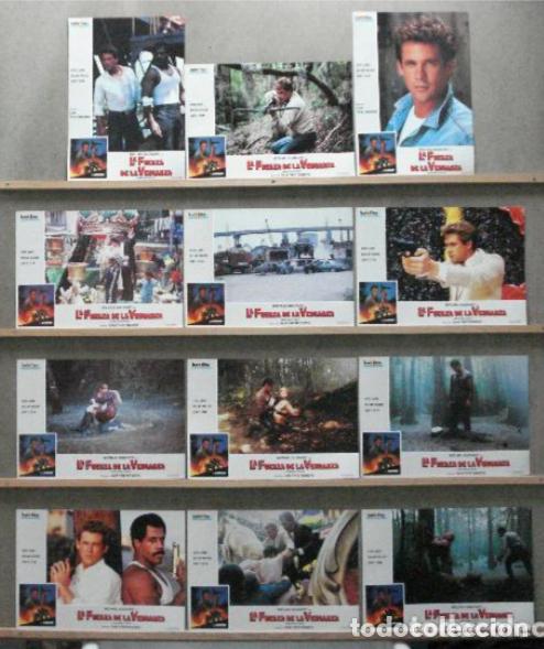 Cinema: AFS86 LA FUERZA DE LA VENGANZA MICHAEL DUDIKOFF SET COMPLETO 12 FOTOCROMOS ORIGINAL ESTRENO h2