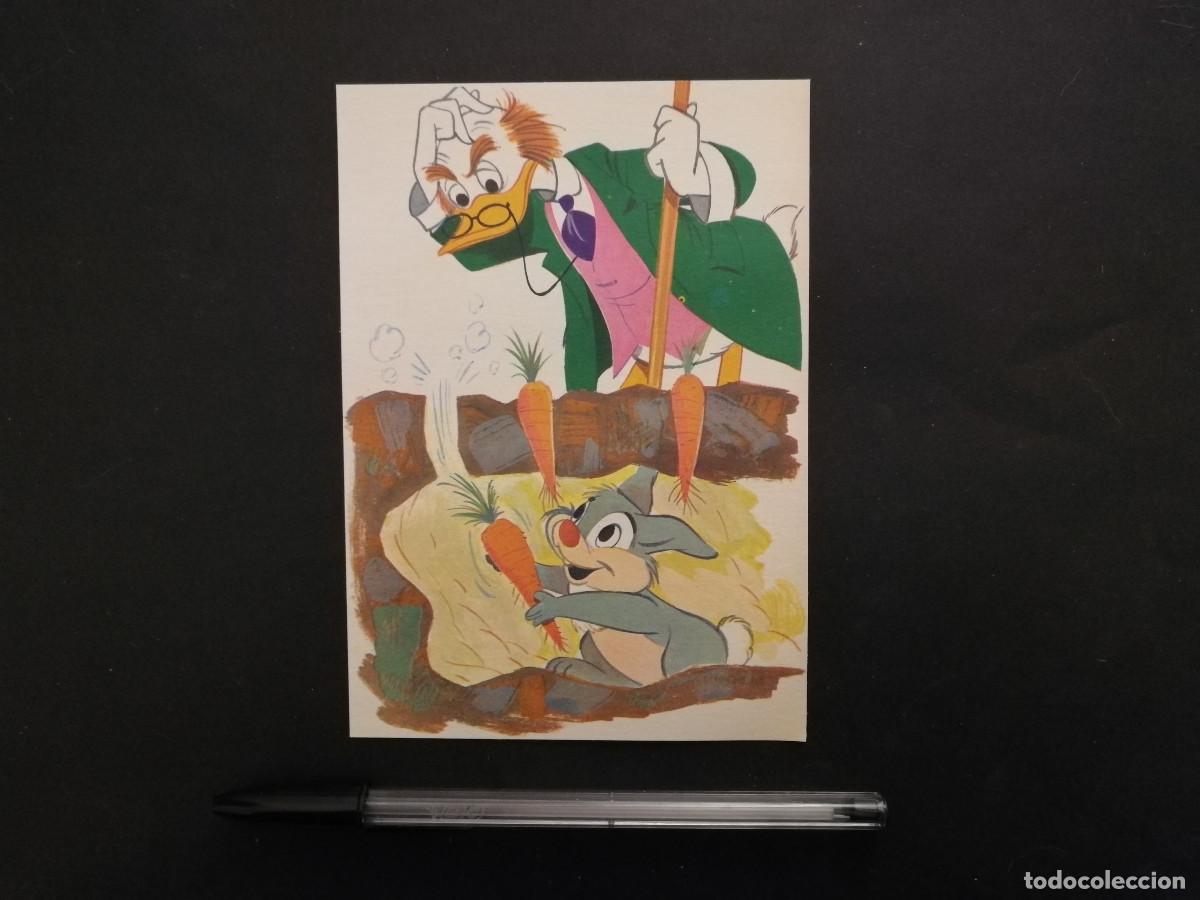Cine: TARJETA ACARTONADA -10*15- Profesor Ludwig Von Drake - WALT DISNEY