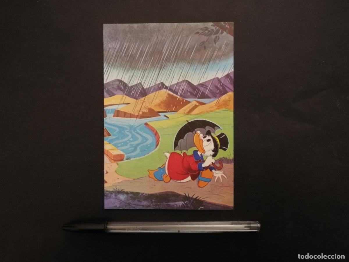 Cinema: TARJETA ACARTONADA -10*15- TIO GILITO - WALT DISNEY - Scrooge McDuck