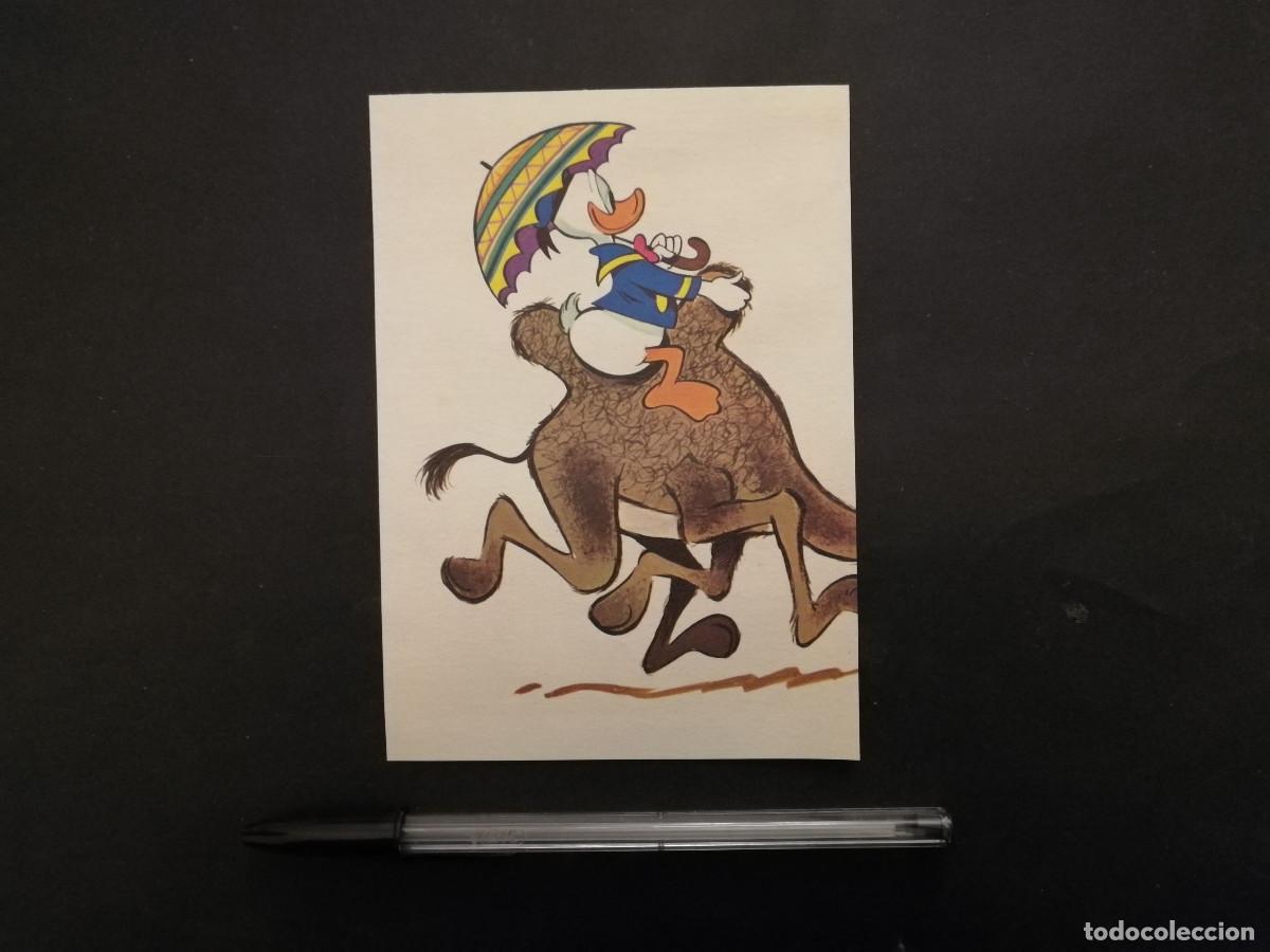 Cinema: TARJETA ACARTONADA -10*15- PATO DONALD - WALT DISNEY