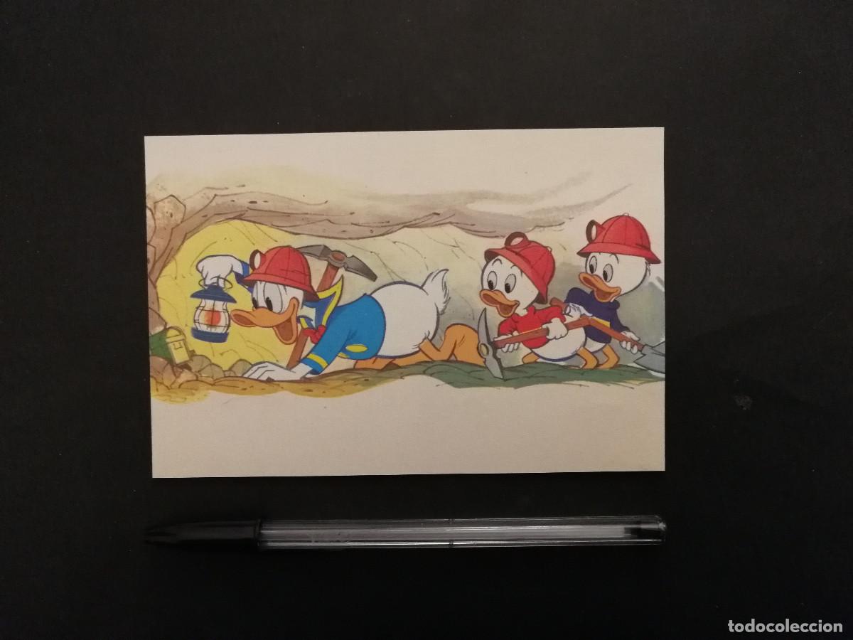 Cinema: TARJETA ACARTONADA -10*15- PATO DONALD - WALT DISNEY