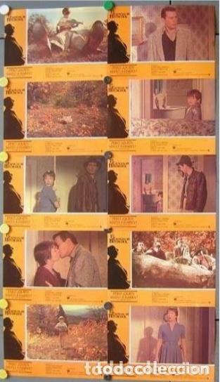 Kino: AFT66 PERO QUIEN MATO A HARRY ALFRED HITCHCOCK SET COMPLETO 10 FOTOCROMOS ORIGINAL ESPA&Ntilde;OL h2