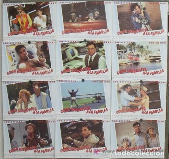 Cinema: AFU07 COMO SOBREVIVIR A LA FAMILIA TOM SELLECK SET COMPLETO 12 FOTOCROMOS ORIGINAL ESTRENO H1