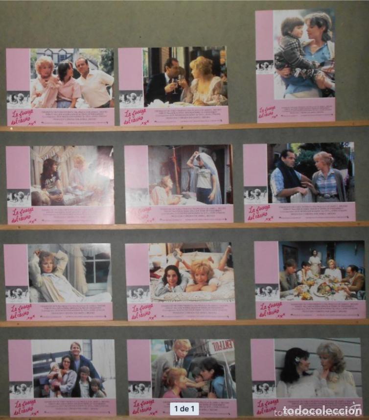 Cine: AFU13 LA FUERZA DEL CARI&Ntilde;O SHIRLEY MACLAINE DEBRA WINGER NICHOLSON SET 12 FOTOCROMOS ORIG ESTRENO h4
