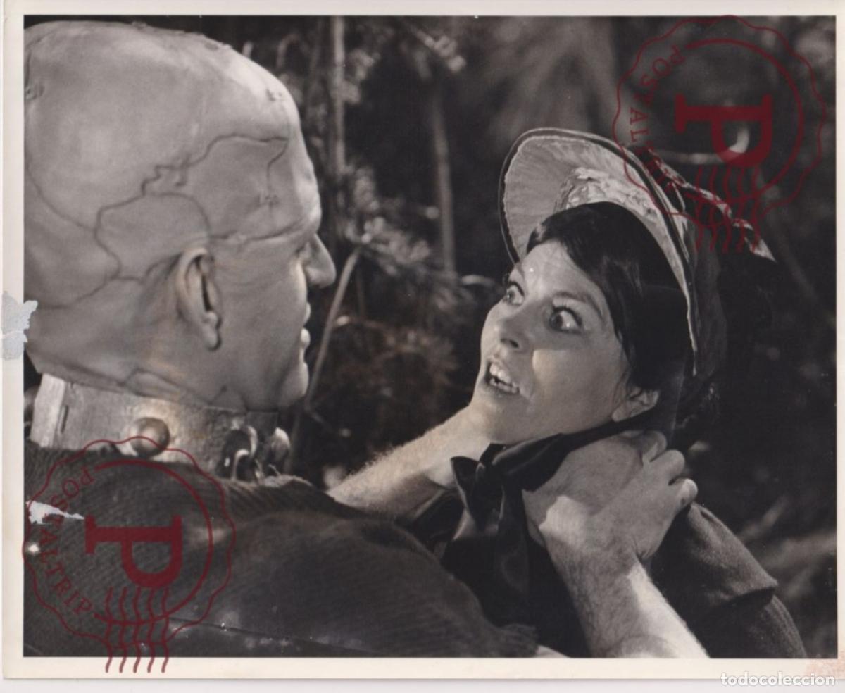 Cine: Horror Of Frankestein CINE FILMS. ACTOR. ACTRESS +- 29X20cm