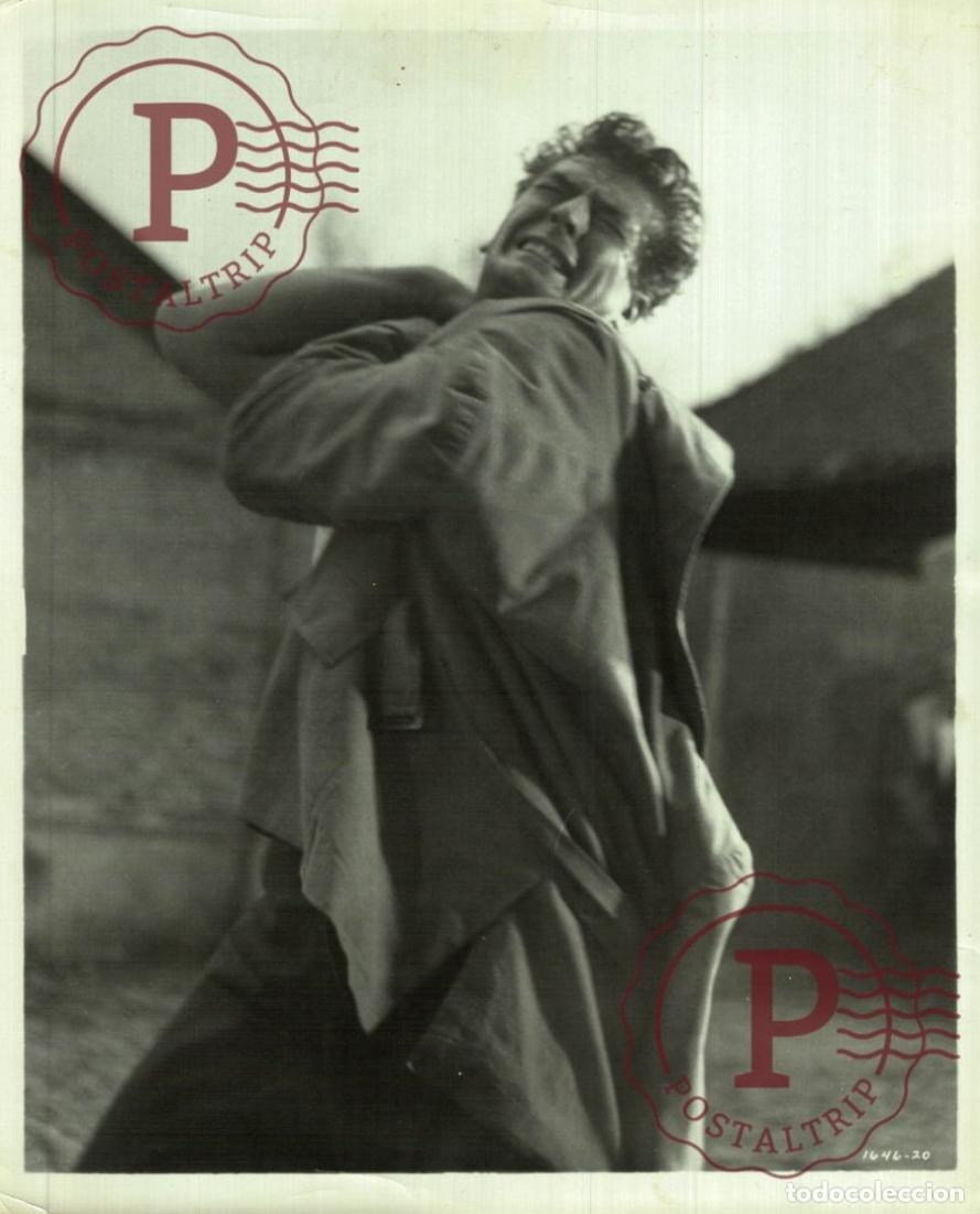 Kino: CINE FILMS. ACTOR. ACTRESS +- 20X28cm Unknown Imagen