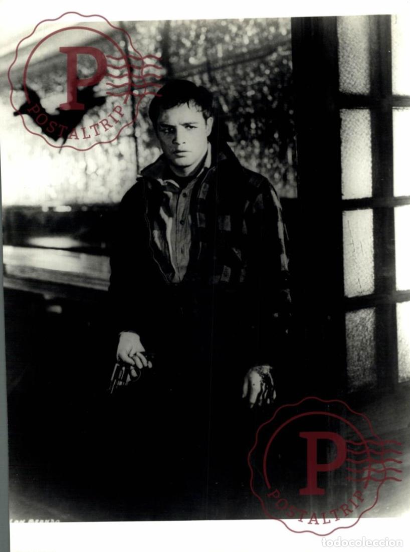 Cinema: On The Waterfront Marlon Brando CINE FILMS. ACTOR. ACTRESS +- 20X24cm