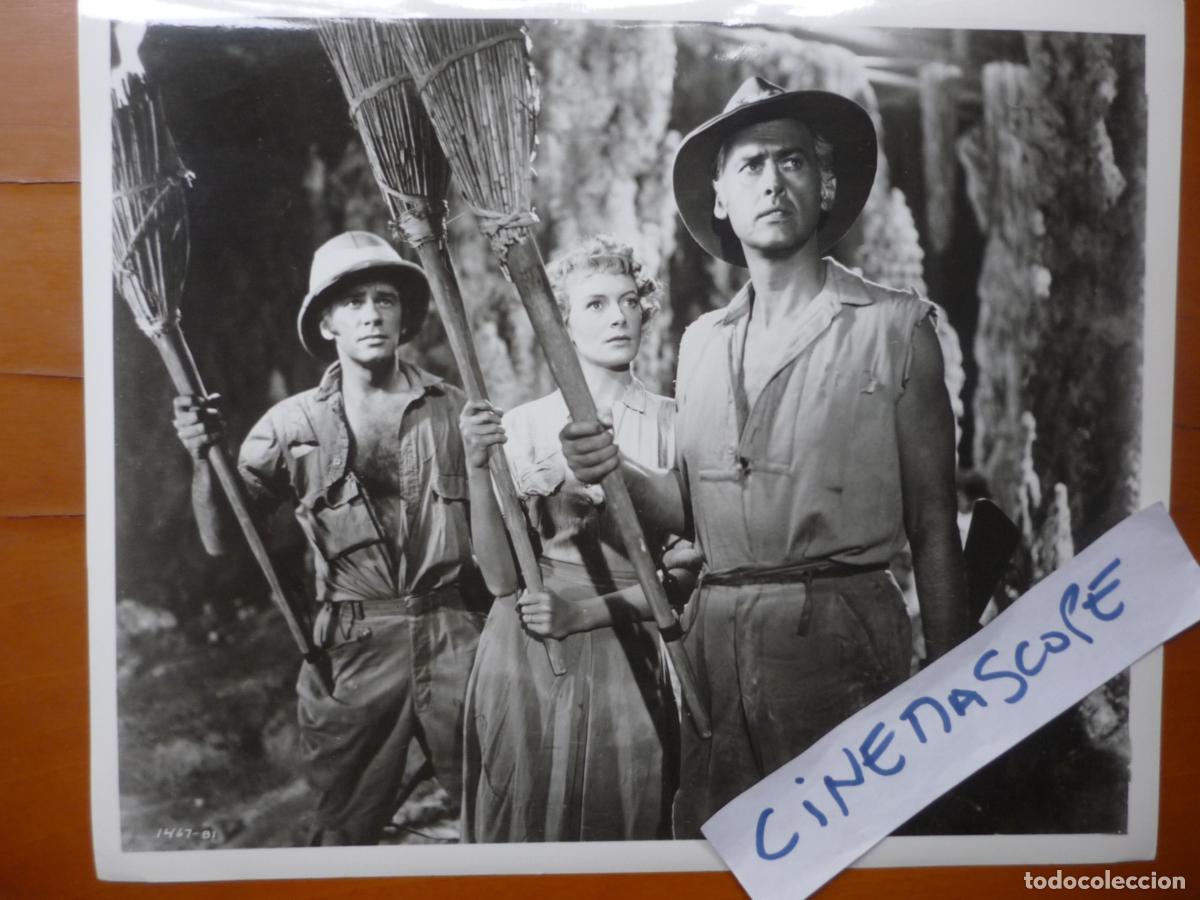 Cinema: las minas del rey salomon - foto original b/n - deborah kerr stewart granger