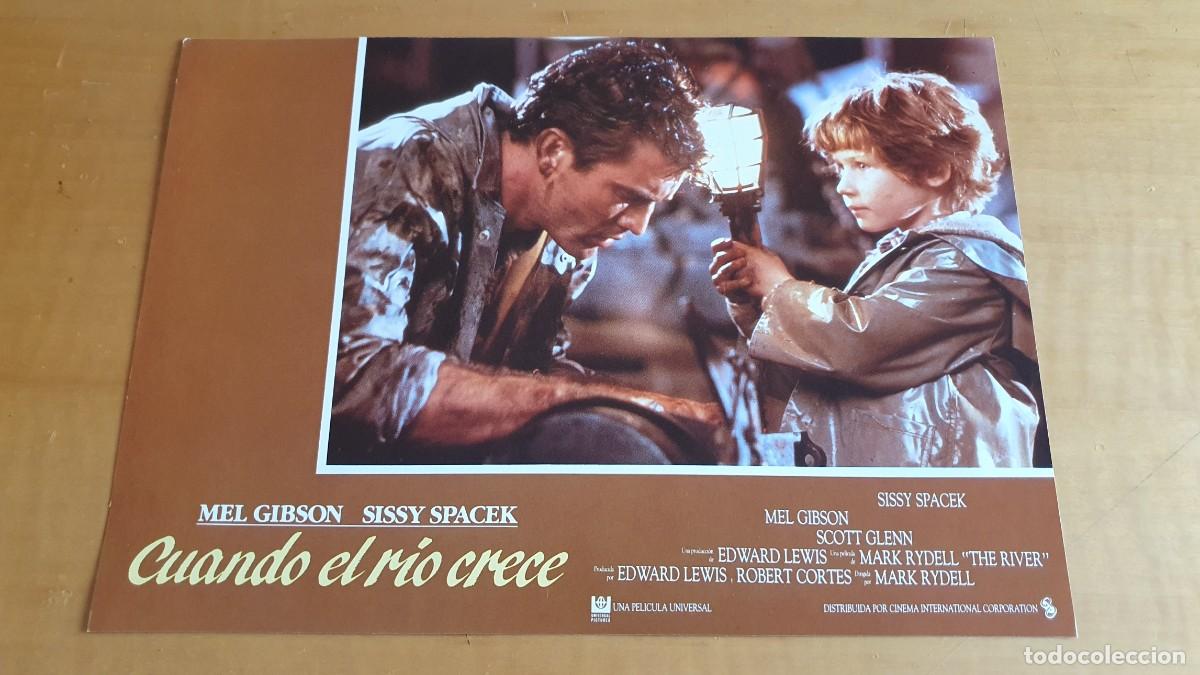 Cine: Juego completo de 12 fotocromos de la pel&iacute;cula Cuando el R&iacute;o Crece. Mel Gibson, Sissy Spacek.