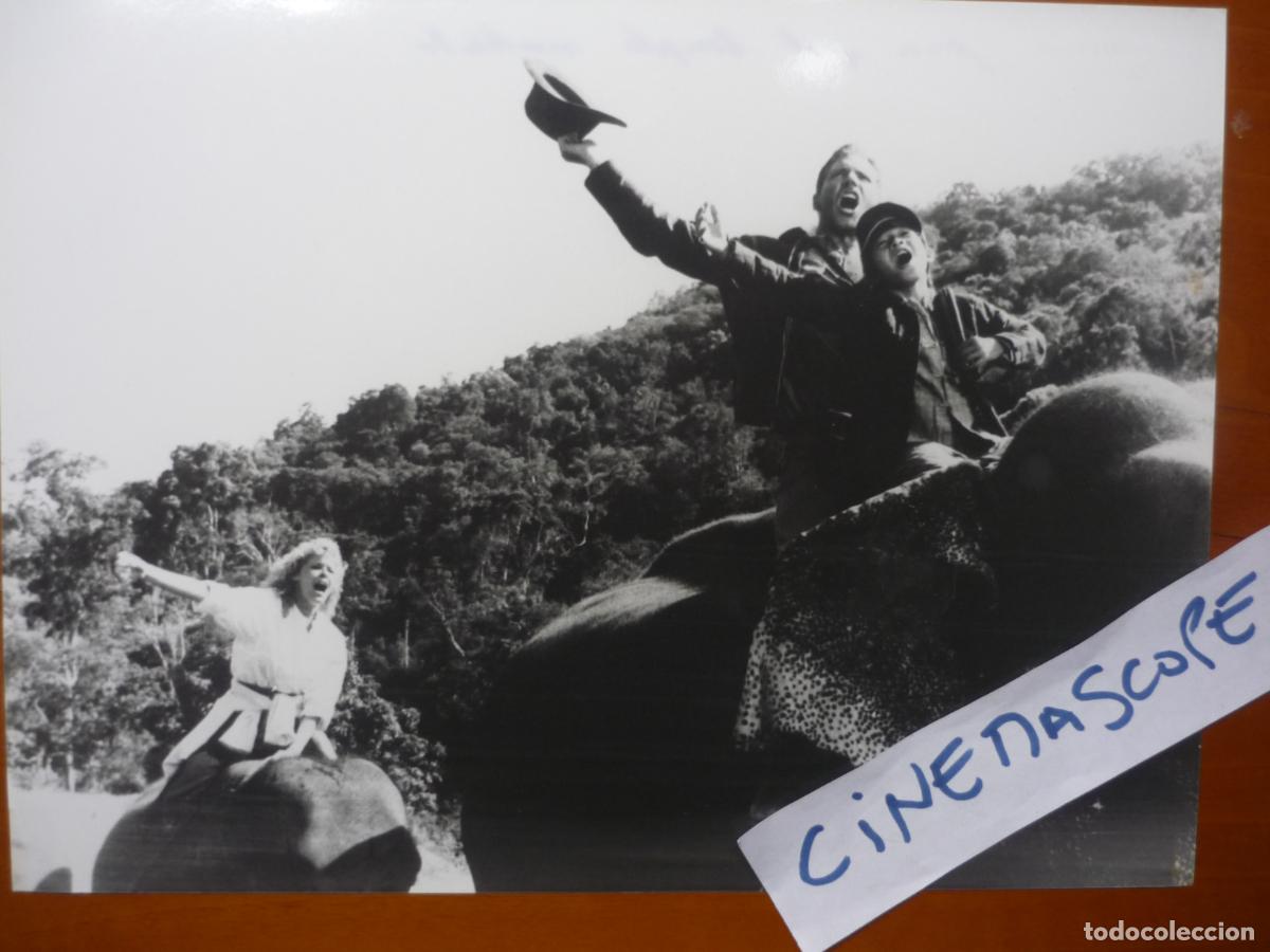 Cine: indiana jones y el templo maldito - foto original b/n - harrison ford kate capshaw steven spielberg