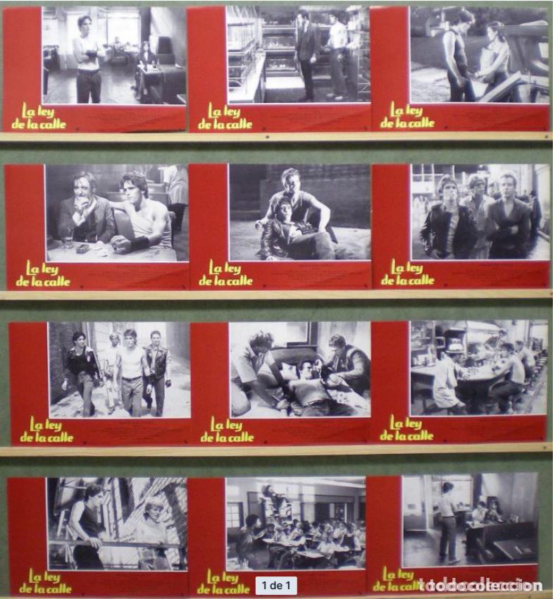 Cine: AFU96 LA LEY DE LA CALLE Rumble Fish MATT DILLON COPPOLA SET COMPLETO 12 FOTOCROMOS ORIGINAL ESTR h4