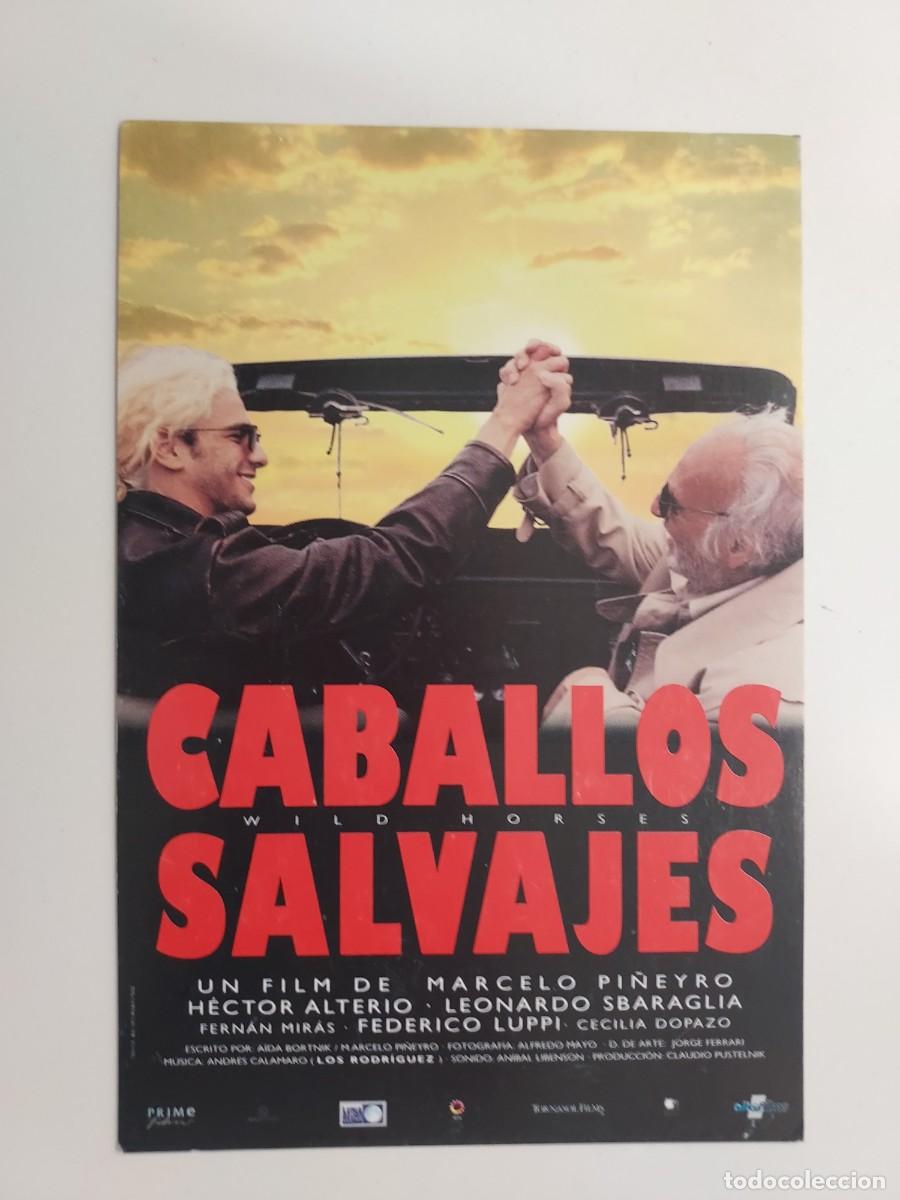 Cine: POSTAL CINE PELICULA CABALLOS SALVAJES, DE MARCELO PI&Ntilde;EYRO. S/C. LAUREN FILMS