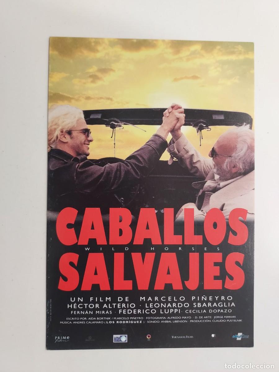 Cine: POSTAL CINE PELICULA CABALLOS SALVAJES, DE MARCELO PI&Ntilde;EYRO. S/C. LAUREN FILMS