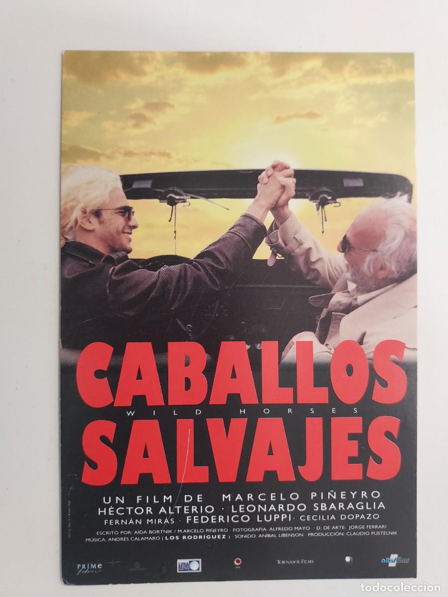 Cine: POSTAL CINE PELICULA CABALLOS SALVAJES, DE MARCELO PI&Ntilde;EYRO. S/C. LAUREN FILMS