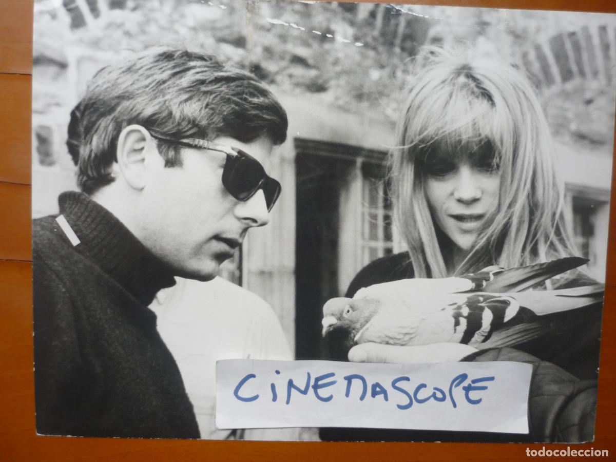 Cine: cul de sac - foto original b/n - roman polanski filmmakeer fran&ccedil;oise dorleac - foto rodaje