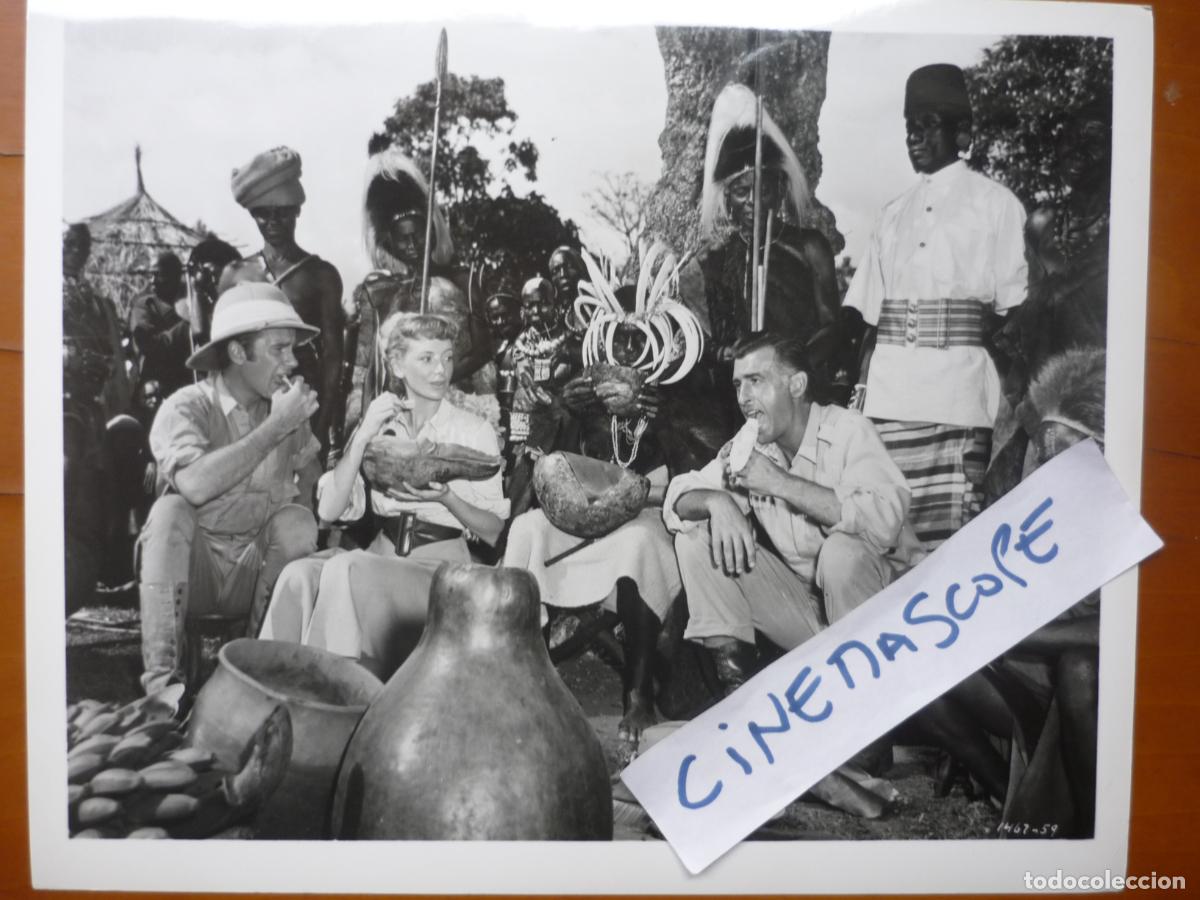 Cine: las minas del rey salomon - foto original b/n - deborah kerr stewart granger Richard Carlson