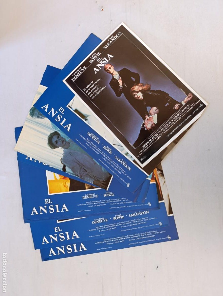 Cine: LOTE 12 FOTOCROMOS - EL ANSIA - DAVID BOWIE - 24 X 34 CM (388)