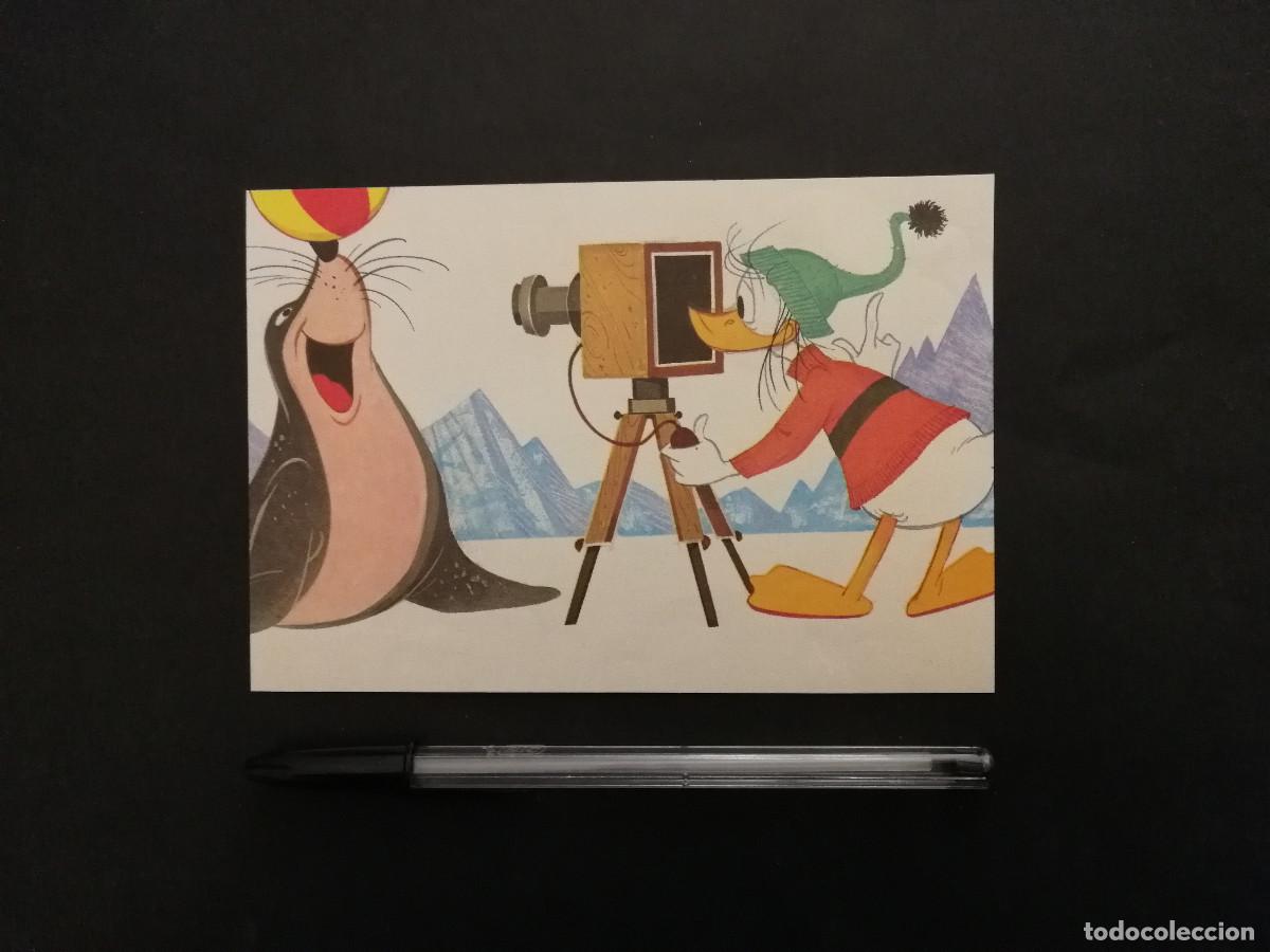 Cine: TARJETA ACARTONADA -10*15- PATO DONALD - WALT DISNEY - FOTOGRAFIA