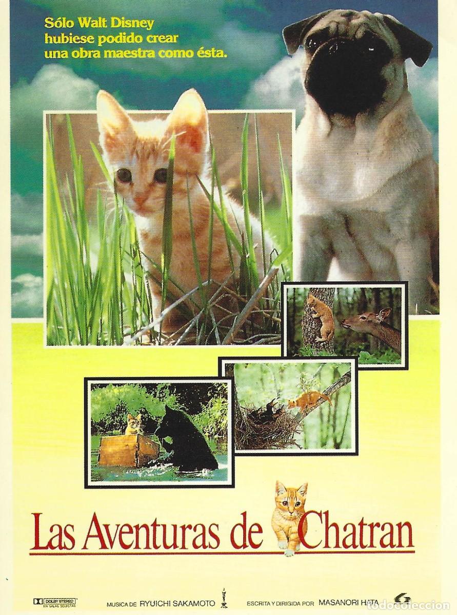 Cine: VC357 LAS AVENTURAS DE CHATRAN-POSTAL-16 X 11 CM-CARTON