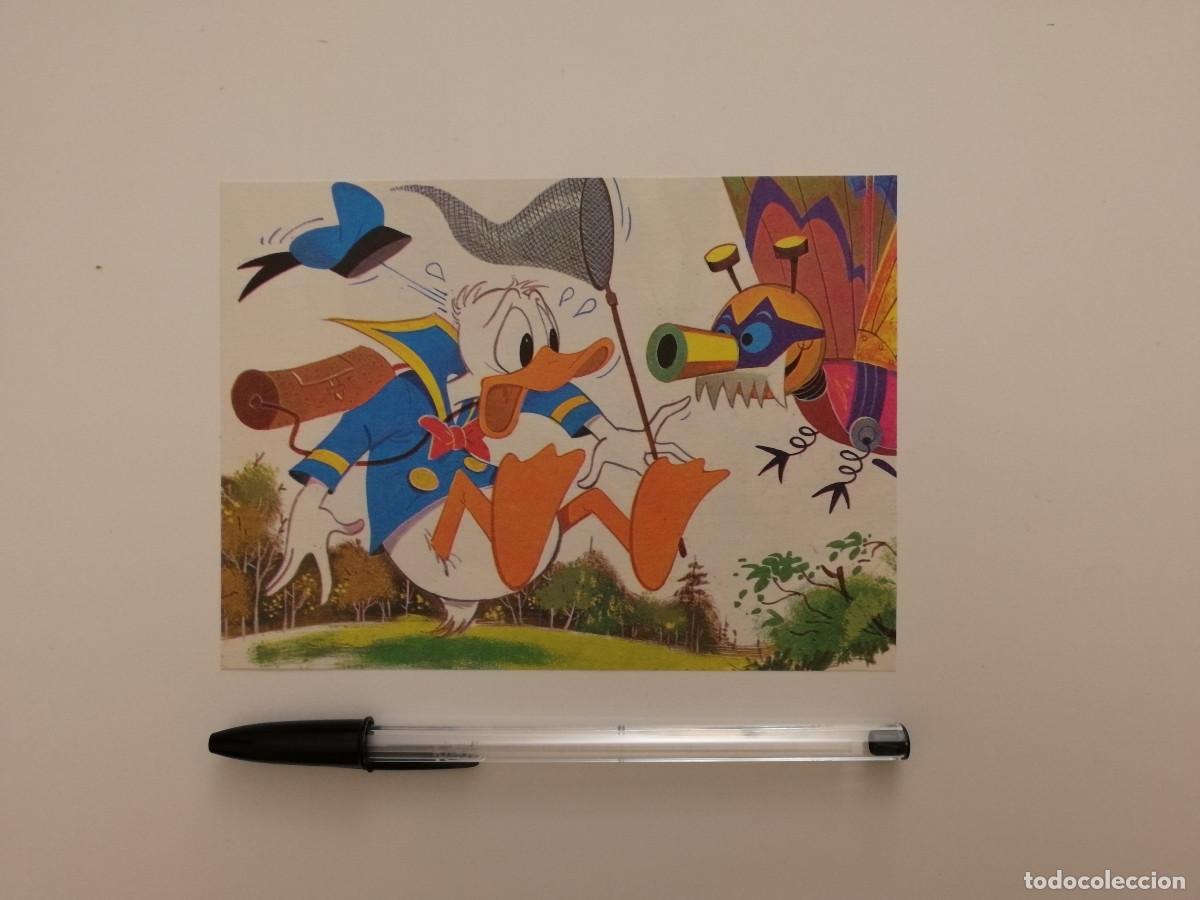 Cine: TARJETA ACARTONADA -10*15- PATO DONALD - WALT DISNEY